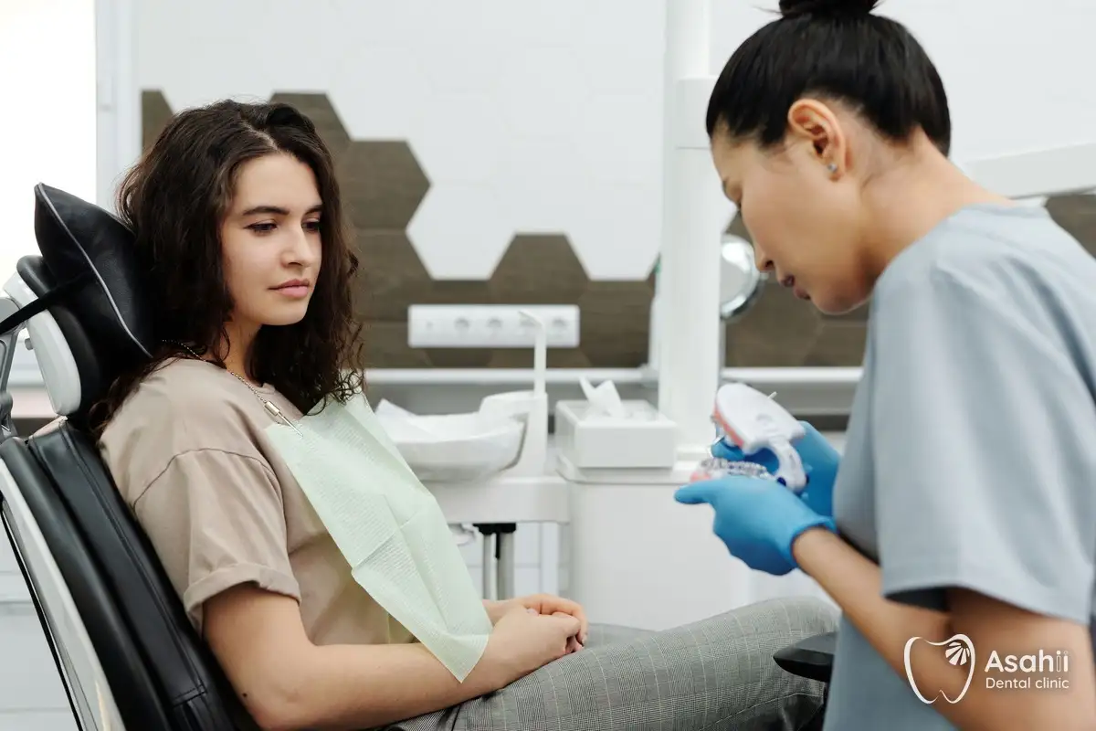 The dentist explains the difference between a veneer and a crown on a jaw model